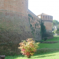 Rocca Sforzesca (dettaglio) - Maurolattuga