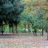 Autumnn - Ila010 - Bologna (BO)