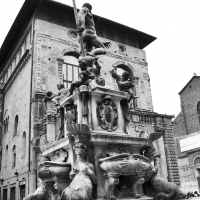 BO - Fontana del Nettuno e Palazzo Re Enzo 1 - EvelinaRibarova