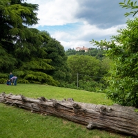 Parco di Villa Ghigi con il grande Cedro e Villa Aldini sullo sfondo