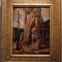 Marco zoppo, san girolamo penitente, 1470 ca., 01 - Sailko