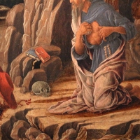 Marco zoppo, san girolamo penitente, 1470 ca., 04