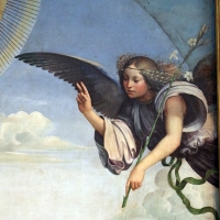 Francesco francia, annunziata tra santi, 1500, dall'annunziata, 02 angelo - Sailko - Bologna (BO)