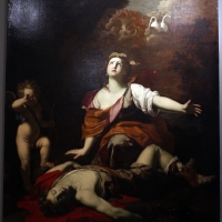 Michele desubleo, venere piange adone, 1650 ca., coll. zambeccari, 01 - Sailko