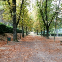 Il parco dietro la Villa - Lelleri - Bologna (BO)