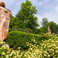 Il giardino di Villa Spada con le rose in fiore - Ugeorge - Bologna (BO)