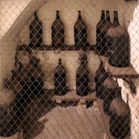 Imola, palazzo tozzoni, cantine, bottiglioni di vino dal 1845 al 1910, 03 - Sailko