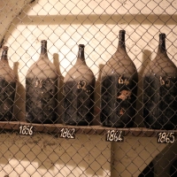 Imola, palazzo tozzoni, cantine, bottiglioni di vino dal 1845 al 1910, 01 - Sailko