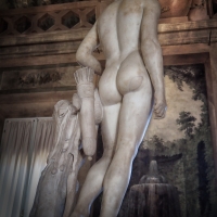 L'Apollo di Canova in palazzo d'Accursio - Bolorsi - Bologna (BO)