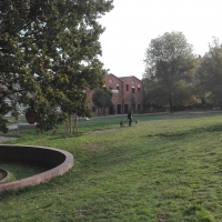 La mattina al parco - Scheletropaffuto - Bologna (BO)