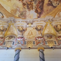 Palazzo Pepoli Campogrande - Salone d'onore con il naso all'insÃ¹ - Opi1010 - Bologna (BO)