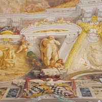 Palazzo Pepoli Campogrande - Salone d'onore particolare affresco soffitto - Opi1010 - Bologna (BO)