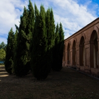 Portico di San Luca 4 (curva delle Orfanelle) - LauraGiovannini - Bologna (BO)