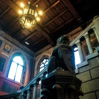 Atrio del Palazzo. Il leone di pietra di Arturo Orsoni - Anna magli - Budrio (BO)