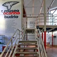Museo dell' ocarina - Pierluigi Mioli