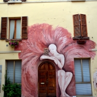 I muri dipinti di Dozza - Cinzia Sartoni