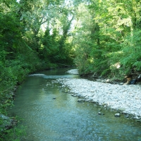 Oasi fluviale del Molino Grande - MarkPagl - San Lazzaro di Savena (BO)
