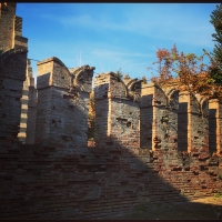 Castello di Bentivoglio -Merlatura - Clo5919