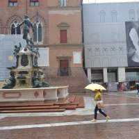 Piazza maggiore 110 - Anita.malina - Bologna (BO)