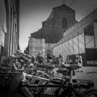 Biciclette a San Petronio - Maurizio rosaspina - Bologna (BO)
