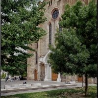 Chiesa di San Francesco tra gli alberi - Claudio alba