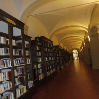 Biblioteca Comunale - dettaglio librerie - Maurolattuga - Imola (BO)