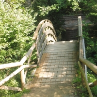Parco delle Acque Minerali - ponte - Maurolattuga