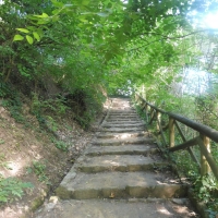 Parco delle Acque Minerali - scalinata 2 - Maurolattuga - Imola (BO)