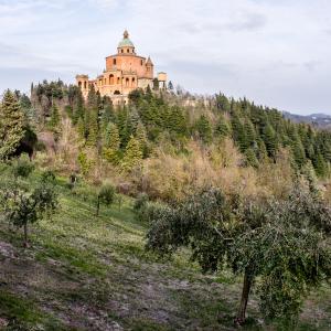 Madonna di San Luca Bologna - Vanni Lazzari