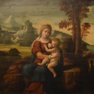 Benvenuto Tisi da Garofalo (maniera di), Madonna col Bambino, Museo Davia-Bargellini - Nicola Quirico