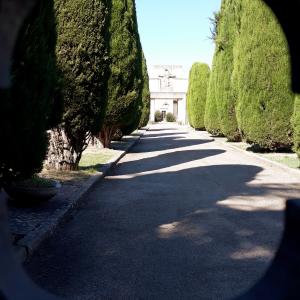 Tp Cimitero cancellata ingresso - Ptocchi2019