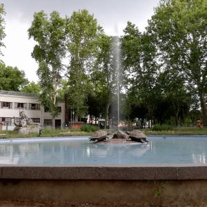 Fontana tartarughe - Alb986