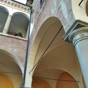 Palazzo Monsignani Sassatelli Dettaglio Colonna 1 - Dst81