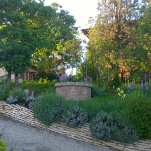 immagine da CA' NOVA DEL TENENTE