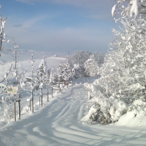 immagine da CA' NOVA DEL TENENTE immagine da CA' NOVA DEL TENENTE