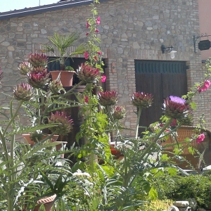 immagine da CA' NOVA DEL TENENTE immagine da CA' NOVA DEL TENENTE