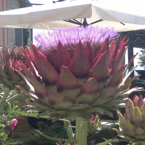 image from CA' NOVA DEL TENENTE