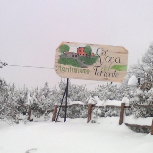 image from CA' NOVA DEL TENENTE image from CA' NOVA DEL TENENTE