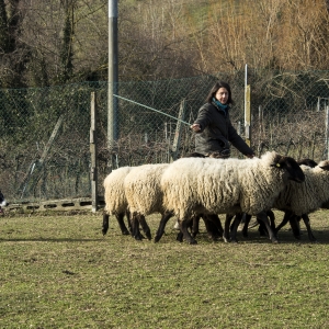 immagine da FATTORIA QUERCIA