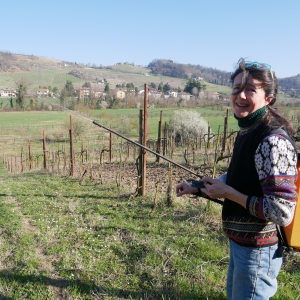immagine da FATTORIA QUERCIA