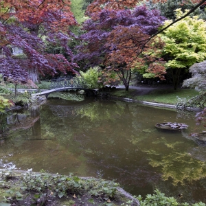 I giardini di Villa Melzi d'Eril - ENIT SpA