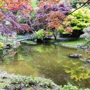 I giardini di Villa Melzi d'Eril - ENIT SpA