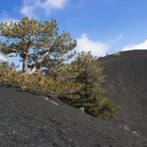 Landscape on Mount Etna - Simone Antonazzo / ENIT SpA
