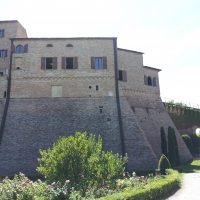 Rocca di Bertinoro e Ingresso al Museo - NoStressIvan