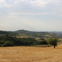 immagine da Rocca di Teodorano