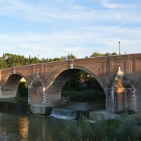 Ponte Vecchio 03 - Gloria Molari - Cesena (FC)