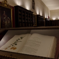 Dettaglio libro Biblioteca Malatestiana - Paolo Crociati
