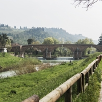 Panoramica sul ponte vecchio - Boschetti Marco 65