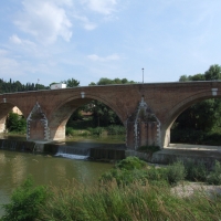 Ponte Clemente detto Vecchio - Cesena 10 - Diego Baglieri