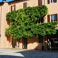 Palazzo Sassi Masini residenza Universitaria